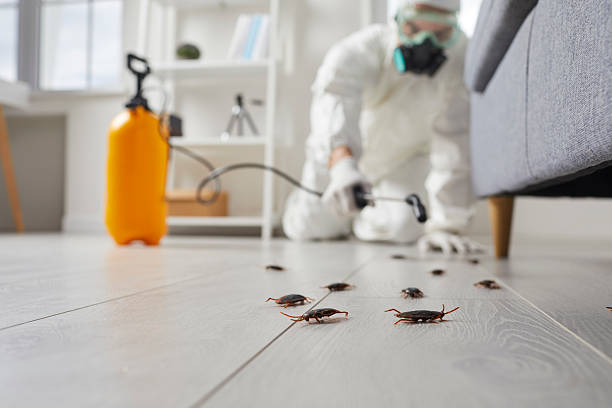 Commercial Kitchen Cockroach Control in Salton City